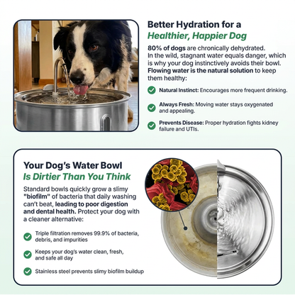 Pure Flow™ Doggy Fountain