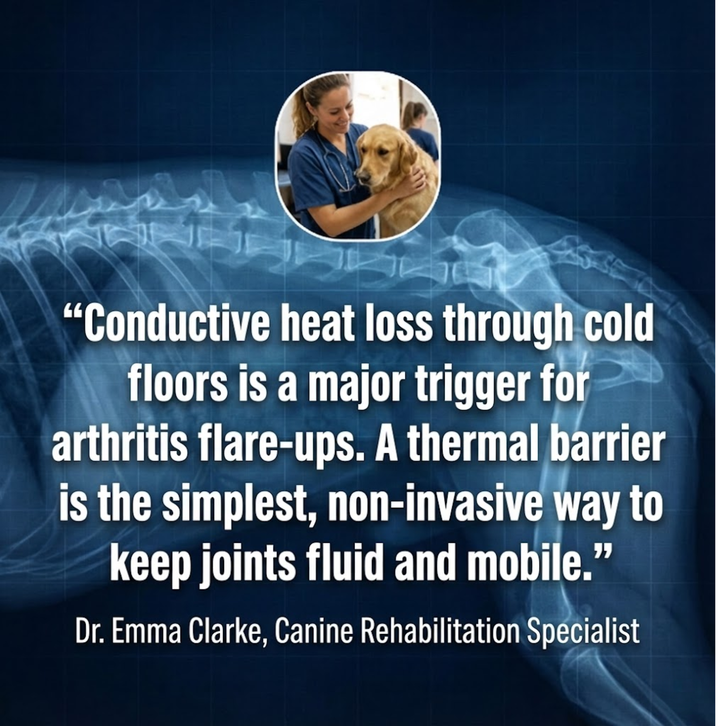 STOP JOINT HEAT LOSS – RESTORE MOBILITY & COMFORT!