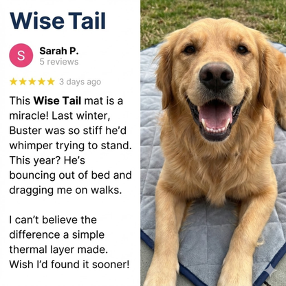 STOP JOINT HEAT LOSS – RESTORE MOBILITY & COMFORT!