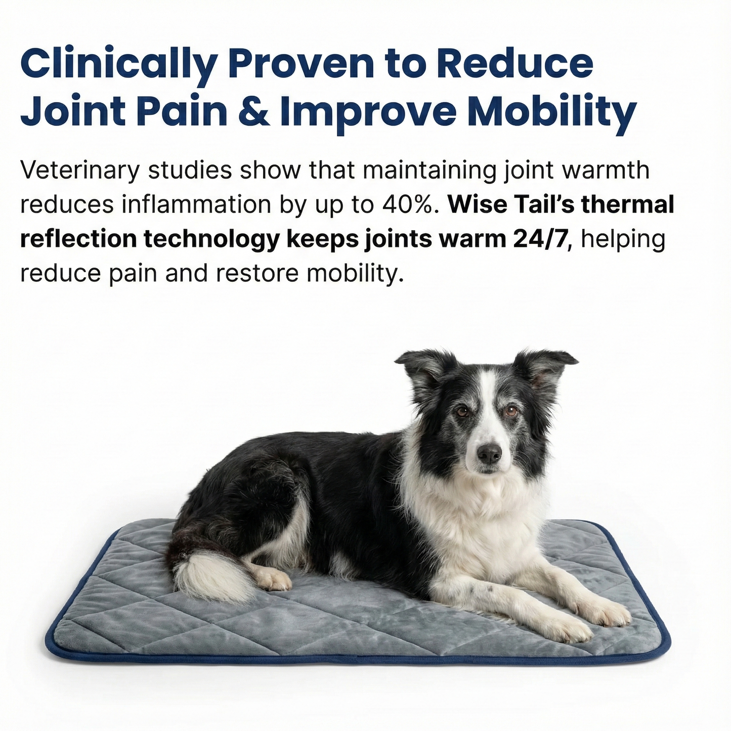 STOP JOINT HEAT LOSS – RESTORE MOBILITY & COMFORT!
