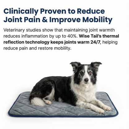 STOP JOINT HEAT LOSS – RESTORE MOBILITY & COMFORT!